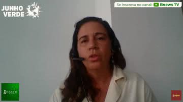 Reprodução // Youtube