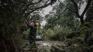 Divulgação / Prefeitura de Porto Alegre