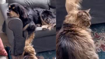 Reprodução / Instagram