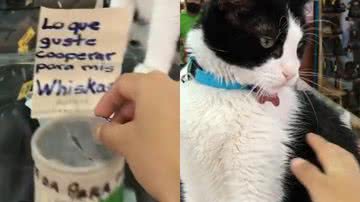 Reprodução/TikTok @elissafitz