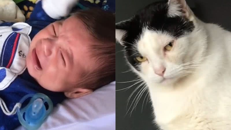 Reprodução/TikTok @arrombadinhosdoamor