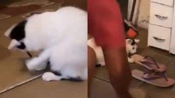 Reprodução/TikTok @erisonsilvaa