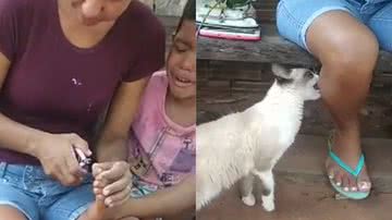 Reprodução/TikTok @emanoelarruda2020