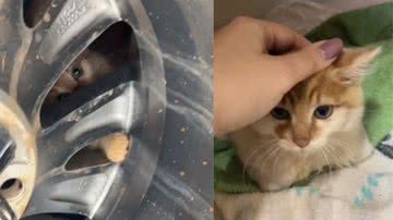 Reprodução/ Tik Tok
