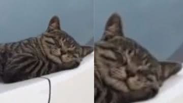 Reprodução/ Tik Tok