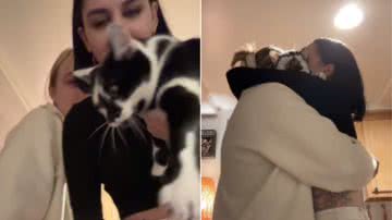 Vídeo de gato avisando 'me acabei' diverte a internet