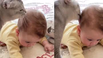 Reprodução / Instagram