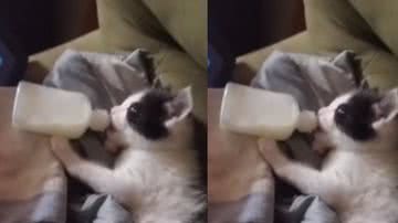 Reprodução / Instagram