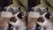 Reprodução / Instagram