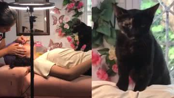 Reprodução / Instagram