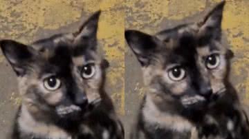 Reprodução / Instagram