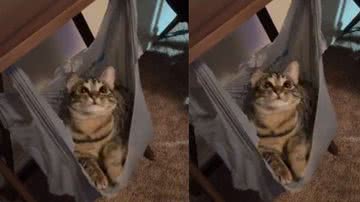 Reprodução / Twitter