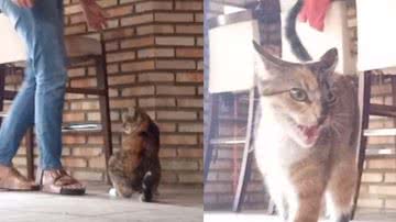 Reprodução / Instagram