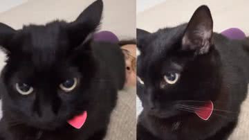 Reprodução / Instagram