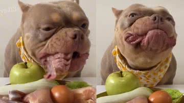 Reprodução/ Tik Tok