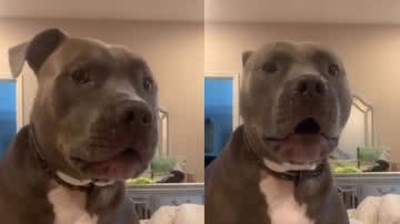 Reprodução / Instagram