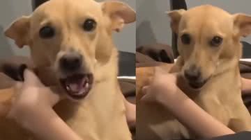 Reprodução / Instagram