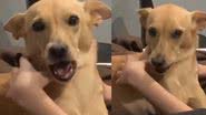 Reprodução / Instagram