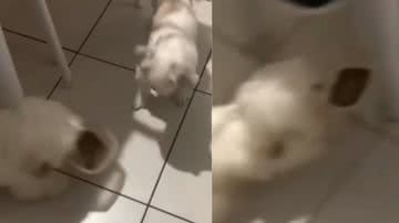 Reprodução / Instagram