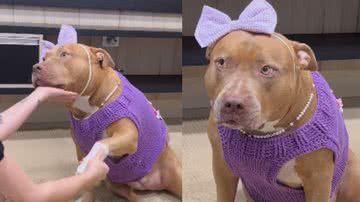 Reprodução / Instagram