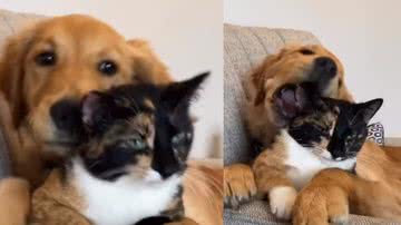 Reprodução / Instagram