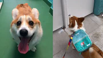 Reprodução / Instagram