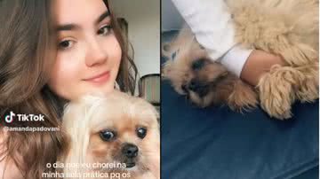 Reprodução/ Tik Tok