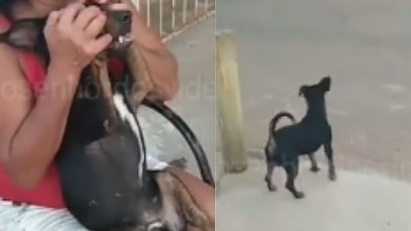 Reprodução/ Tik Tok