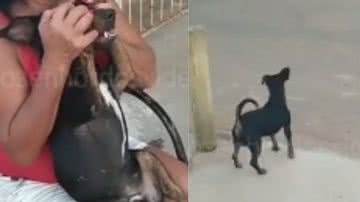 Reprodução/ Tik Tok