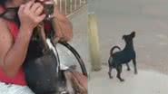 Reprodução/ Tik Tok