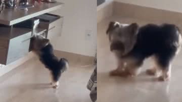 Reprodução/ Instagram