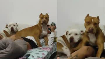 Reprodução / Tik Tok