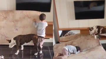 Reprodução / Tik Tok