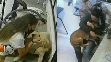 Reprodução / Twitter