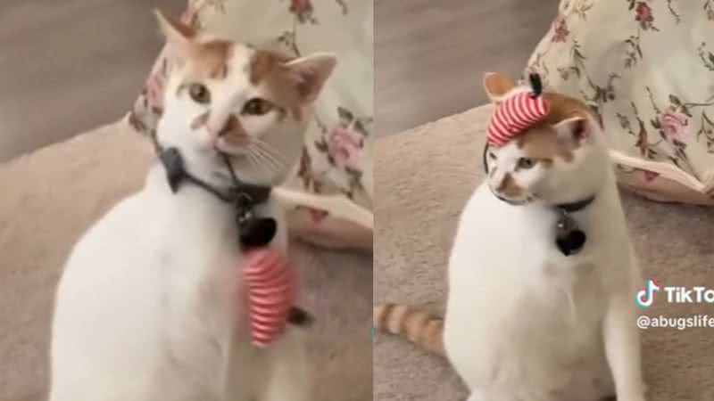 Reprodução / Tik Tok
