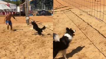 Reprodução / Tik Tok