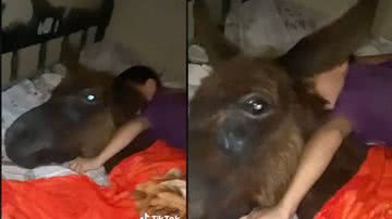 Reprodução / Tik Tok