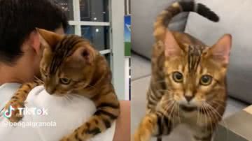 Reprodução / Tik Tok