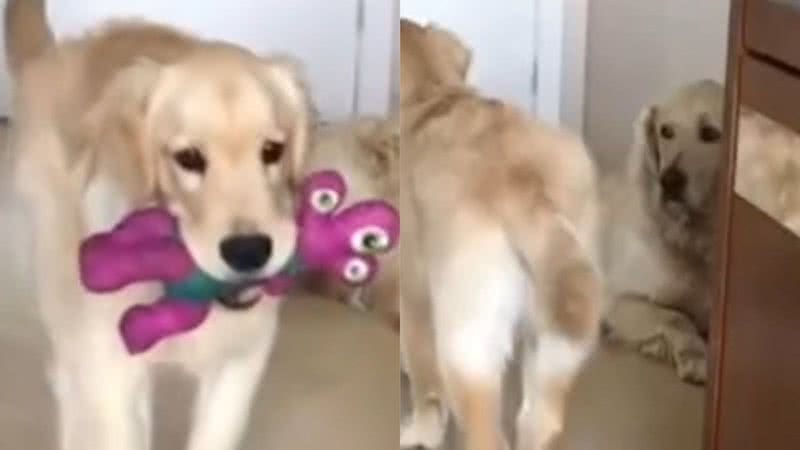 Reprodução/TikTok @bruna.lyt