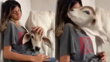 Reprodução/TikTok @filhadavet