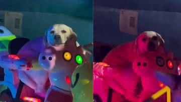 Reprodução/ Instagram