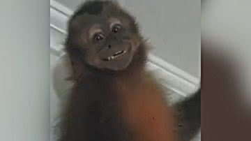 Reprodução/TikTok @dudinhaarrudaa2