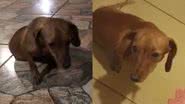Reprodução/TikTok @lari_paiva