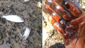 Reprodução/Redes Sociais