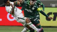 Cesar Greco/Palmeiras/