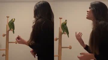 Reprodução/TikTok @eduardasing