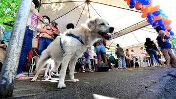 Jefferson Peixoto/Secom