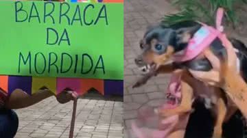 Reprodução/TikTok @layzeferreira