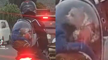 Reprodução/ Tik Tok