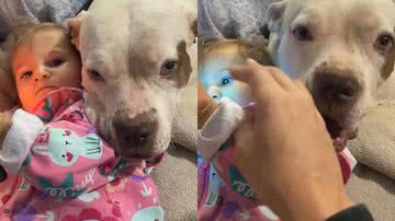 Reprodução/TikTok @tataduartegonca